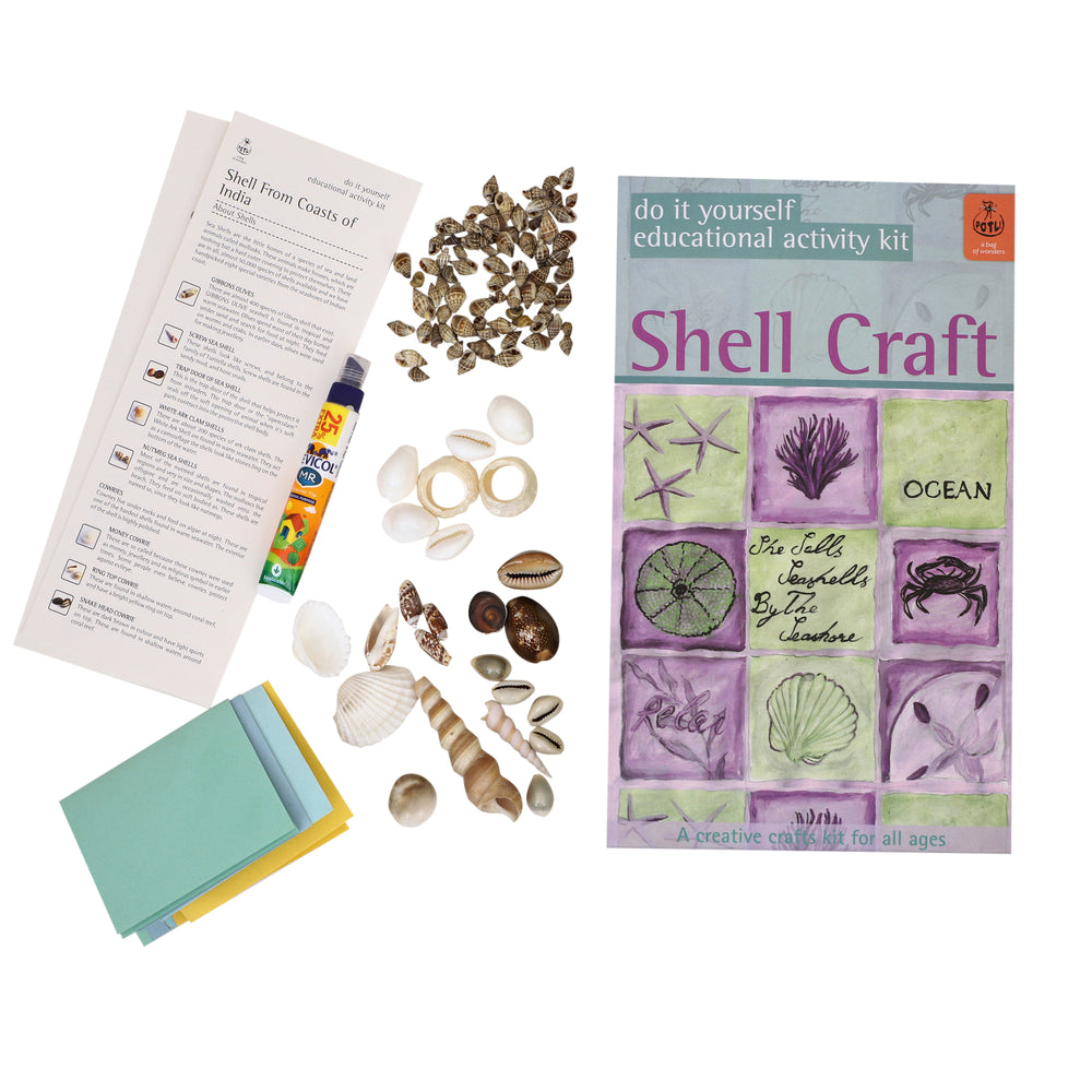 DIY Craft kit Shell Craft
