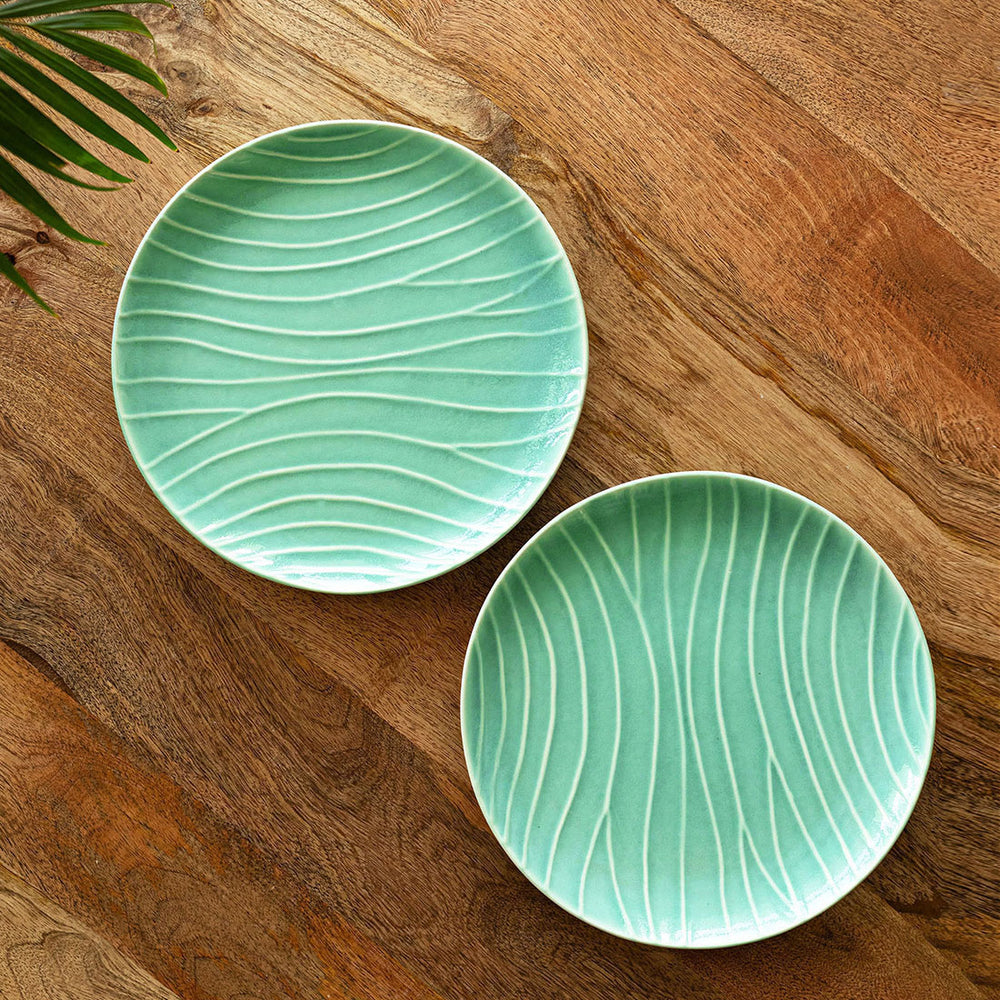 Ceramic Dinner Plates