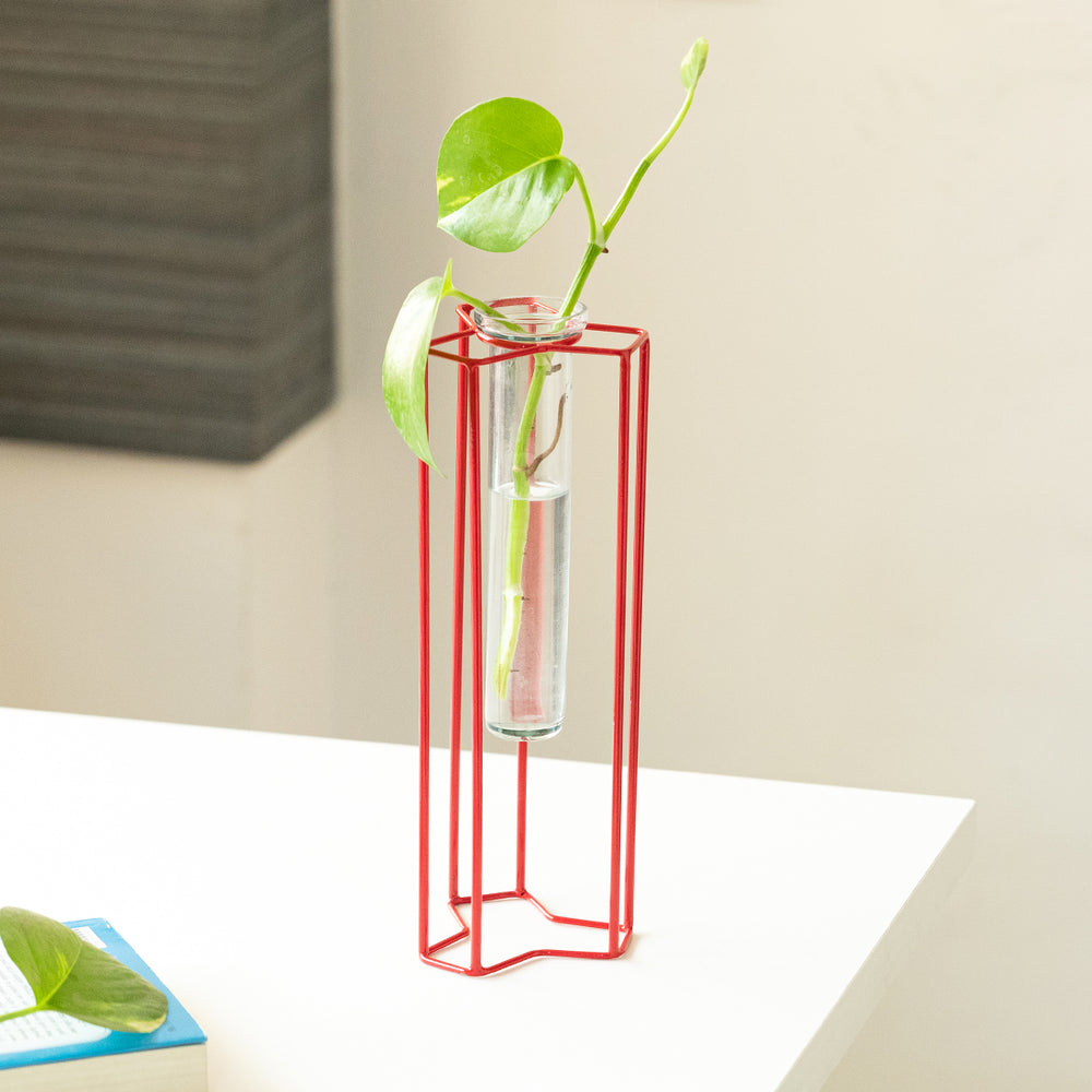 'Modern Glass Garden' Test Tube Table Planter/Vase (10 Inch, Red)