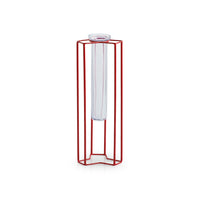 'Modern Glass Garden' Test Tube Table Planter/Vase (10 Inch, Red)