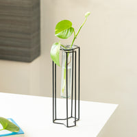 'Modern Glass Garden' Test Tube Table Planter/Vase (10 Inch, Black)