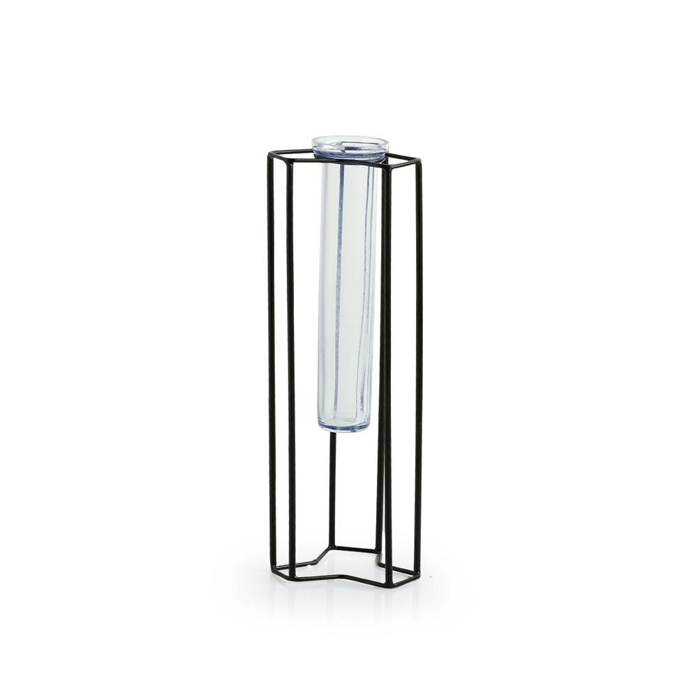 'Modern Glass Garden' Test Tube Table Planter/Vase (10 Inch, Black)