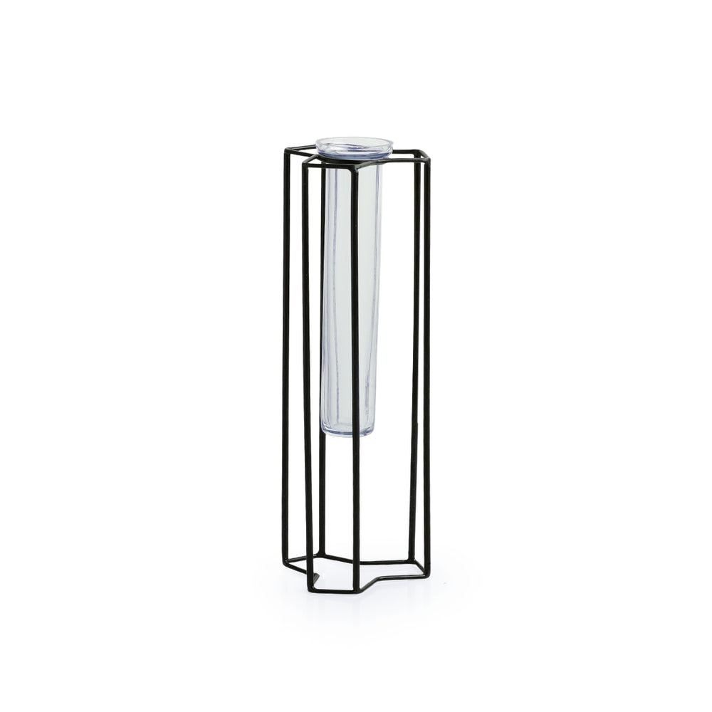 'Modern Glass Garden' Test Tube Table Planter/Vase (10 Inch, Black)