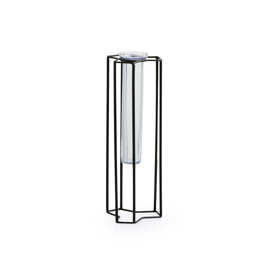 'Modern Glass Garden' Test Tube Table Planter/Vase (10 Inch, Black)