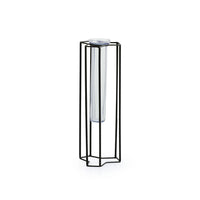 'Modern Glass Garden' Test Tube Table Planter/Vase (10 Inch, Black)