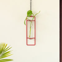 'Modern Glass Garden' Test Tube Hanging Planter/Vase (10 Inch, Red)