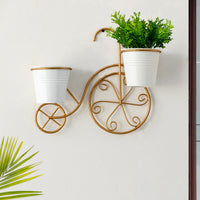 Wall Planter Pots