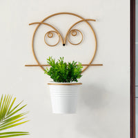 'Angry Owl' Wall Planter Pot In Galvanized Iron (10 Inch, Brass Finish)