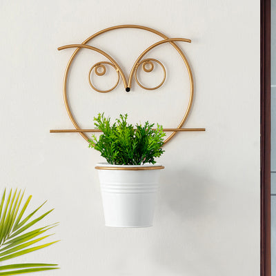 'Angry Owl' Wall Planter Pot In Galvanized Iron (10 Inch, Brass Finish)