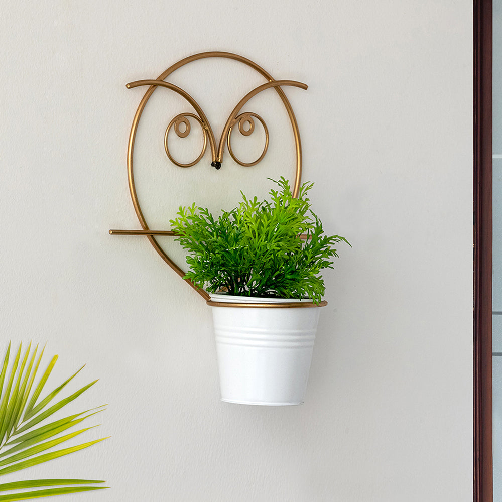 'Angry Owl' Wall Planter Pot In Galvanized Iron (10 Inch, Brass Finish)