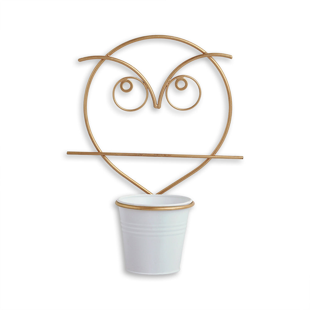 'Angry Owl' Wall Planter Pot In Galvanized Iron (10 Inch, Brass Finish)