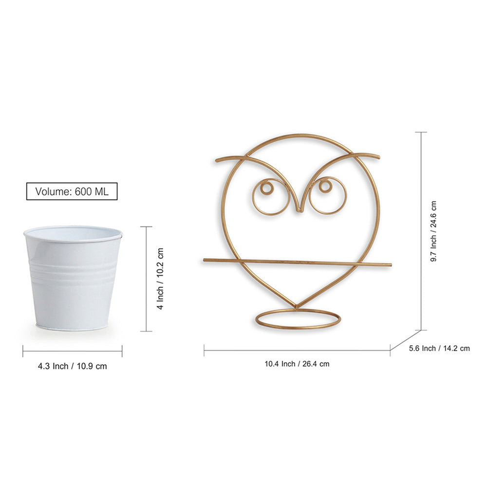 'Angry Owl' Wall Planter Pot In Galvanized Iron (10 Inch, Brass Finish)