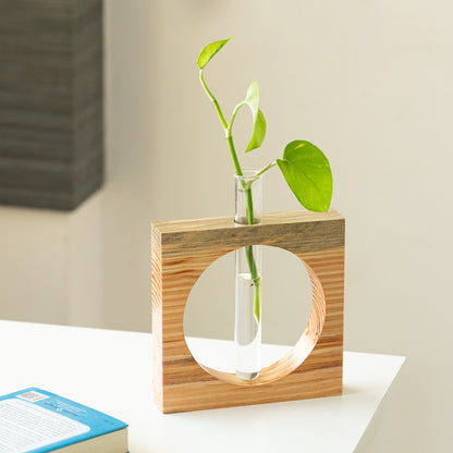 'Carved Circle Glass Garden' Test Tube Table Planter/Vase (9 Inch, Light Brown)