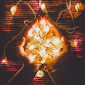 Lily Bougainvillea - Handmade Crochet LED String Light for Home Decor 05