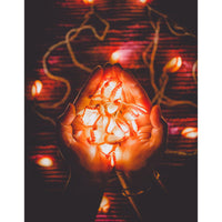 Home Decor LED String Lights ~ Orange Lily Bougainvillea