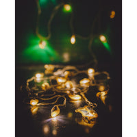 Home Decor LED String Lights ~ Blue Yellow Lily Bougainvillea