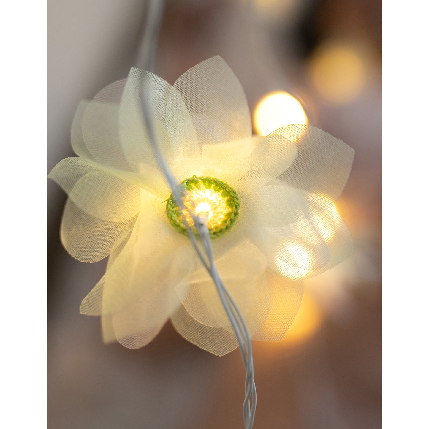 Home Decor LED String Lights ~ Green Rose