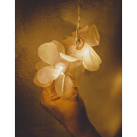 Home Decor LED String Lights ~ Pink Rose