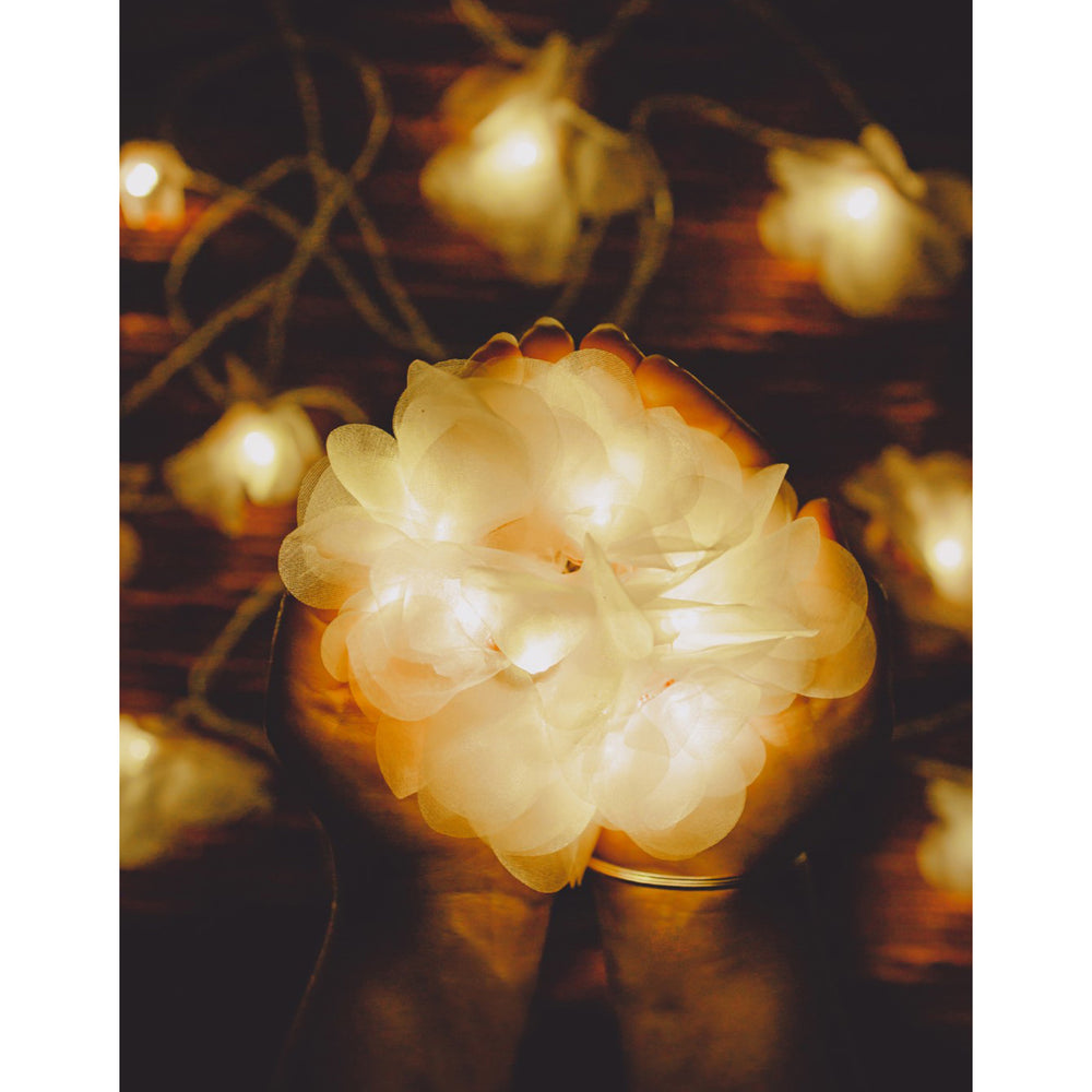 Home Decor LED String Lights ~ Pink Rose