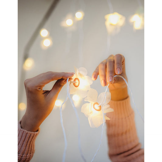 Home Decor LED String Lights ~ Orange Rose