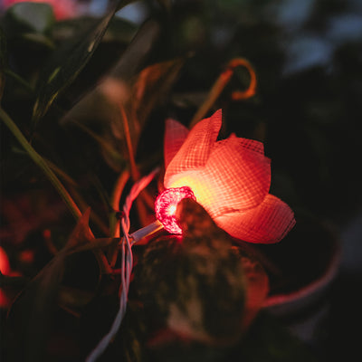 Flower - Handmade Crochet LED String Light for Home Decor 13