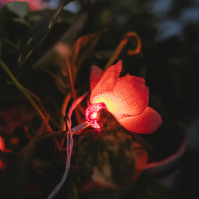 Flower - Handmade Crochet LED String Light for Home Decor 13