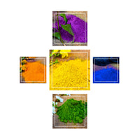 Avani 100% Natural Holi Colors / Gulal Set of 5 Combo (50 grams each)