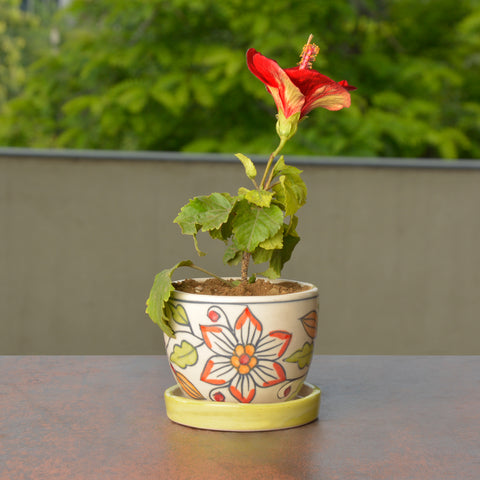 Handpainted Ceramic Planter Pot with Tray