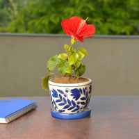 Ceramic Planter Pot 