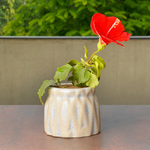 Ceramic Planter Pot