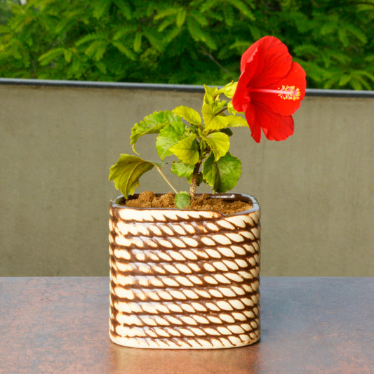 Handpainted Ceramic Planter Pot (Beige and Brown, Diameter - 10 cm, Height - 10 cm)