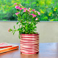 Striped Planter Pot 