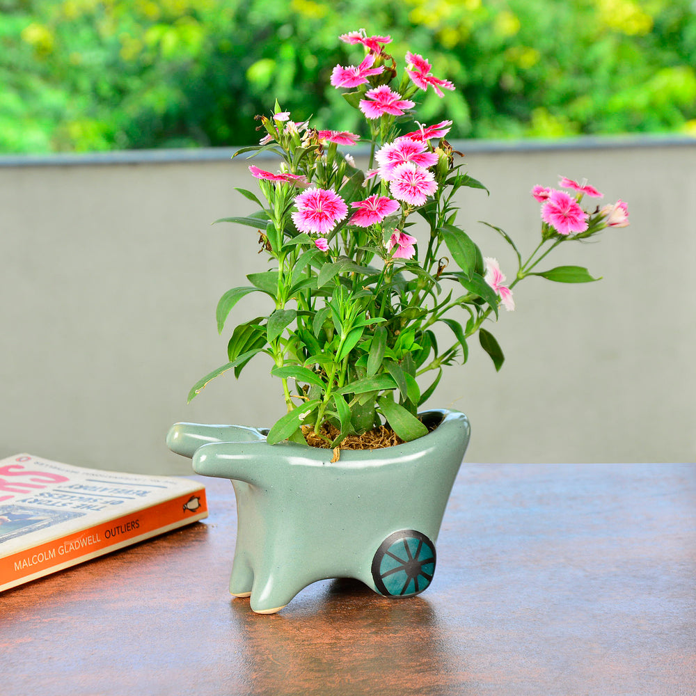 Ceramic Planter Pot 