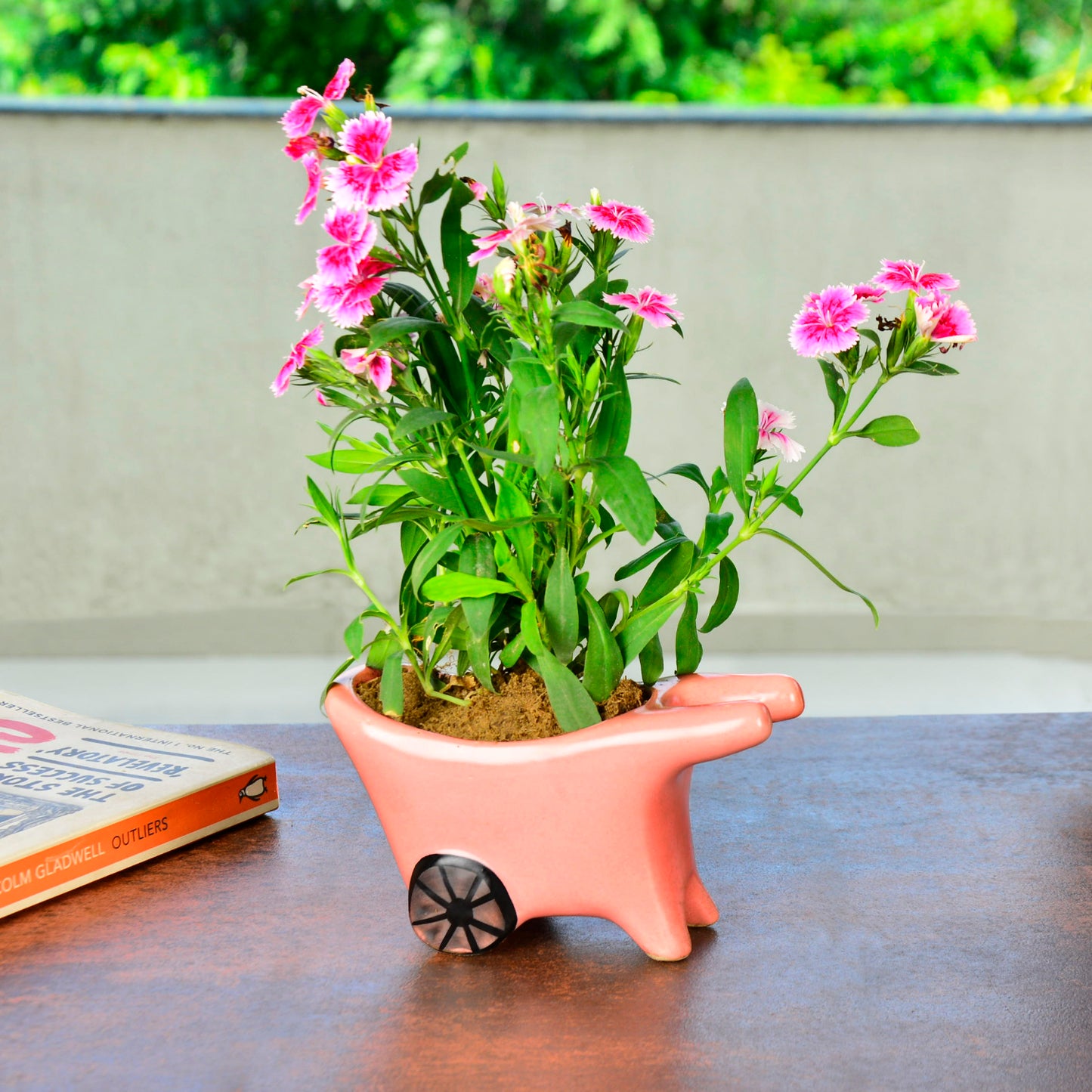 Handpainted Ceramic Pushing Cart Planter Pot (Pink, L x B x H – 14 cm x 6 cm x 8 cm)