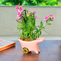 Ceramic Planter Pot