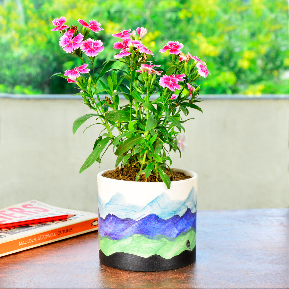 Ceramic Planter Pot