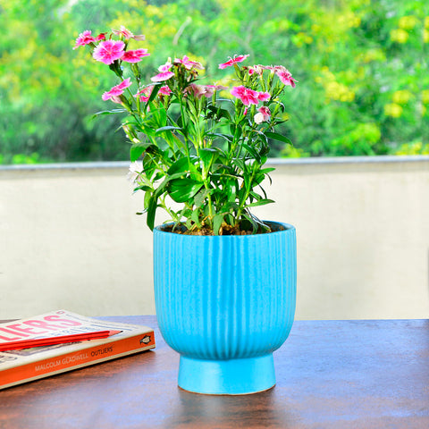 Ceramic Planter Pot