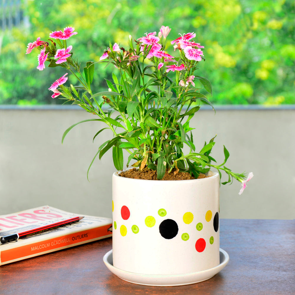 Ceramic Planter Pot