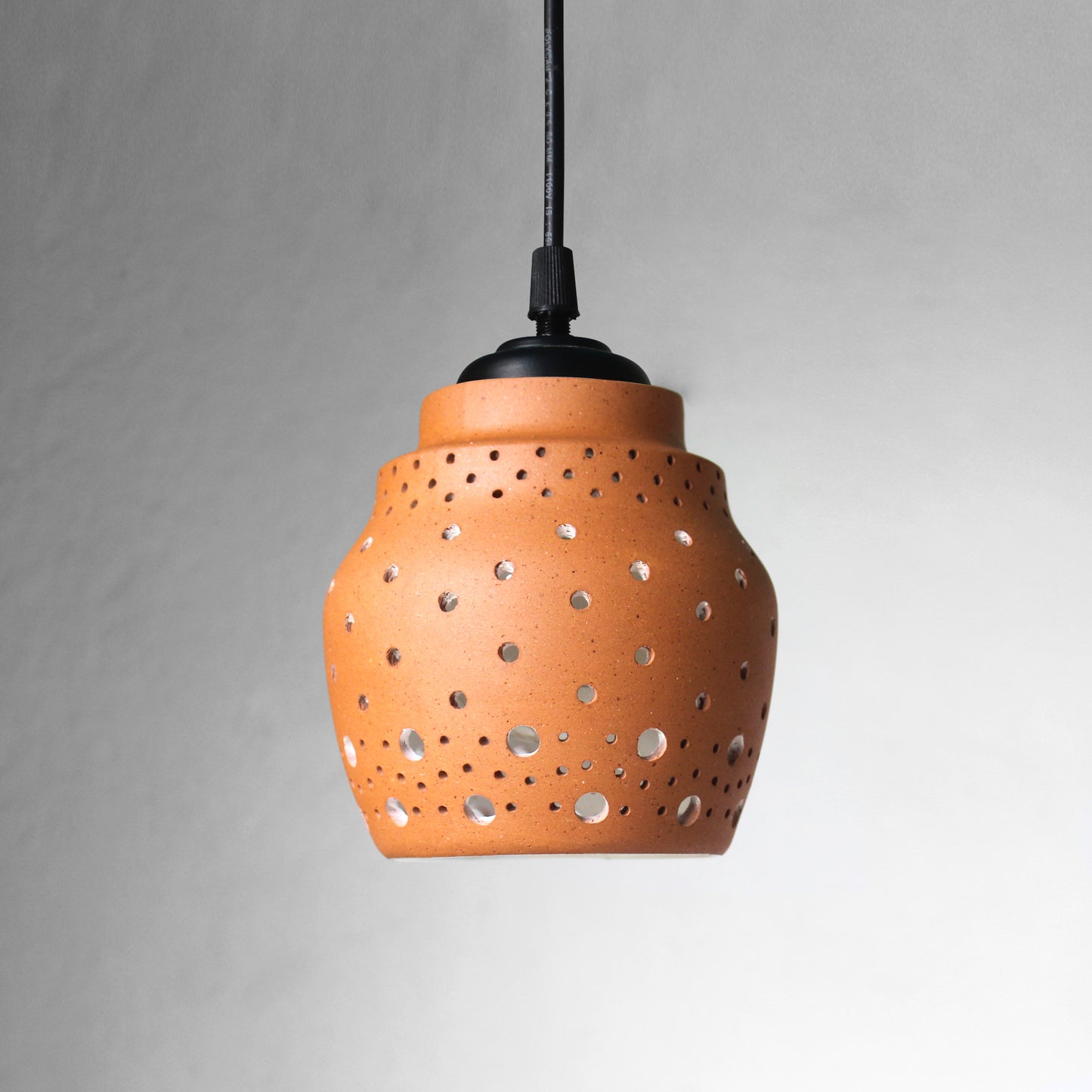 Handcrafted Terracotta BEE Ceiling Light