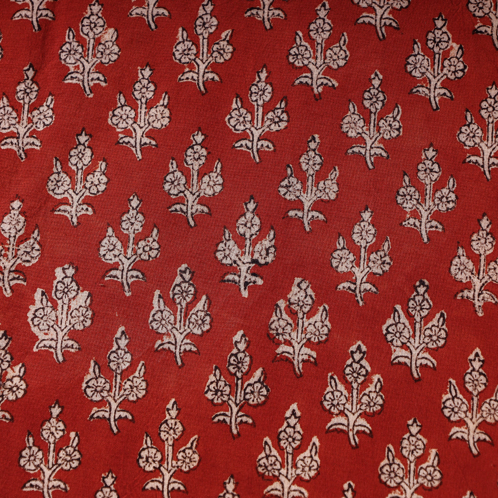 Bagru Fabric