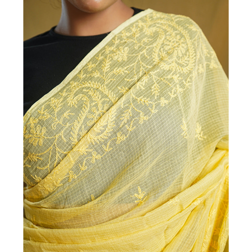 Chikankari Saree 