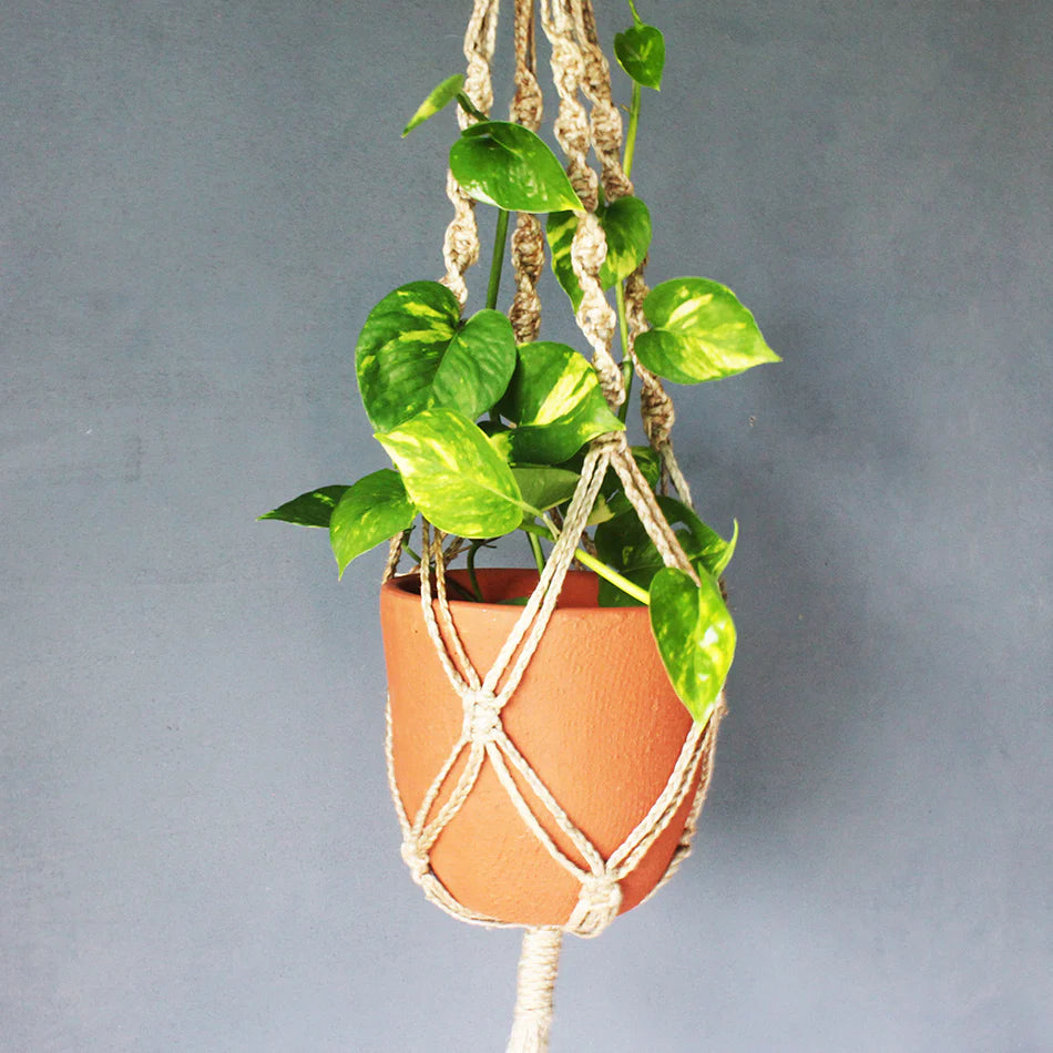 Teracotta planter with Jute macrame hanger