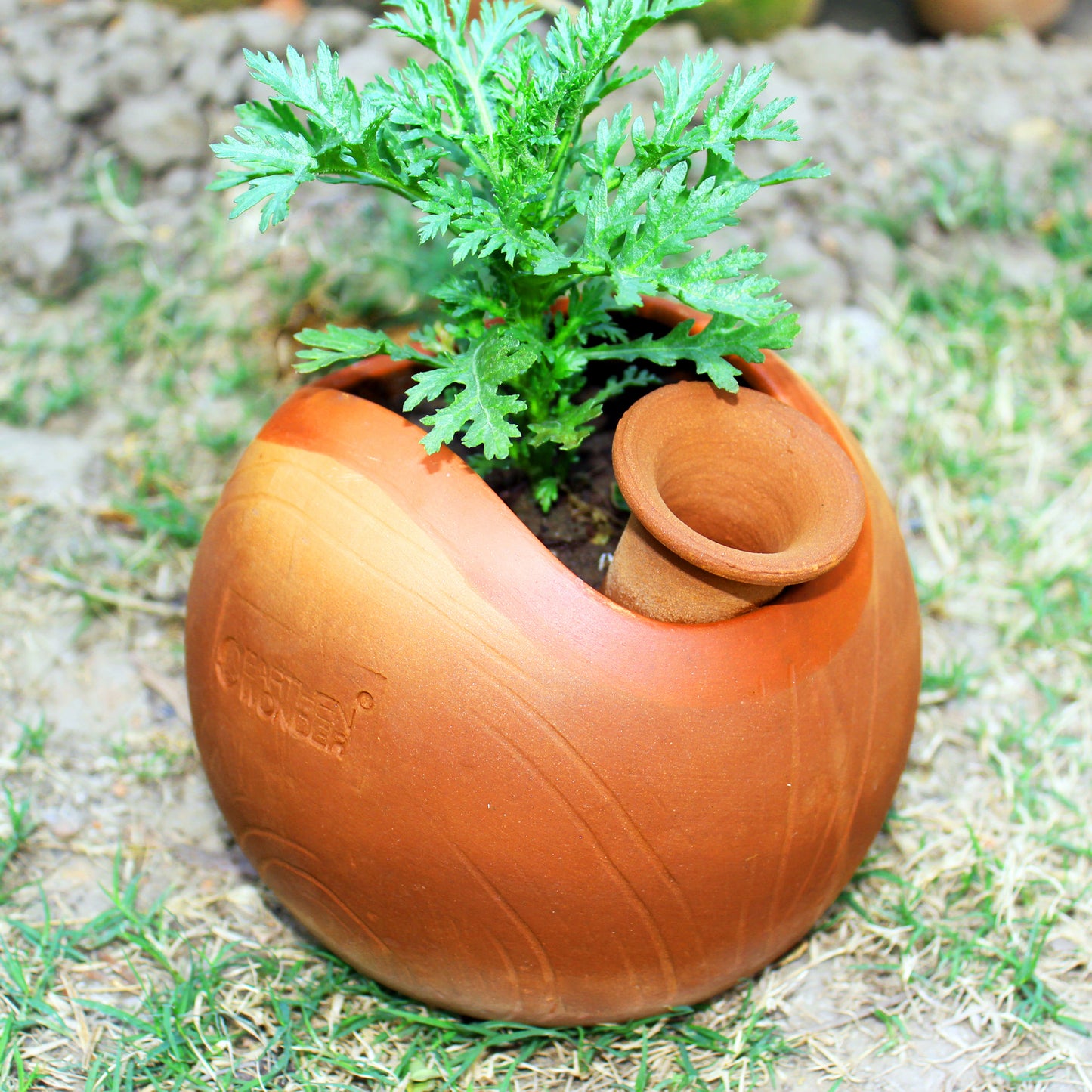 GLO (L) Terracotta Planter with Deep Root Watering System SET OF 2