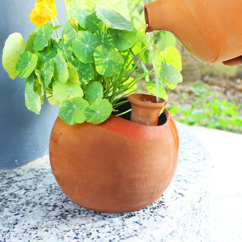 Terracotta Planter