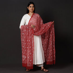  Lucknow Chikankari Tepchi Embroidery Georgette Dupatta 