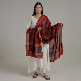 Buy Natural Dyed Hand Block Print Chanderi Silk Bagh Dupatta