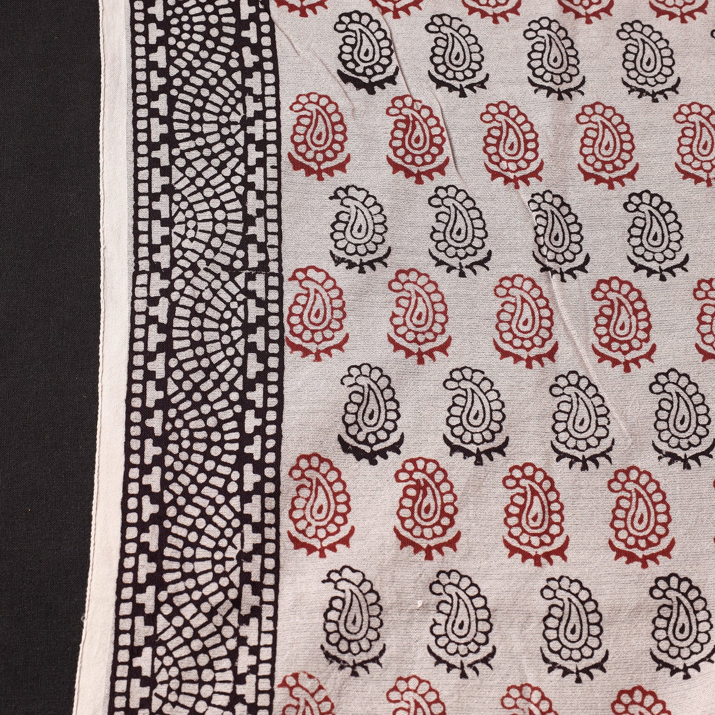 bagh print fabric