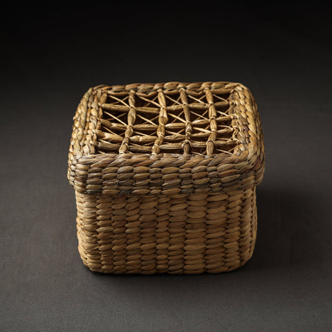 Buy Handmade Organic Water Hyacinth Beige Utility Box (Small)
