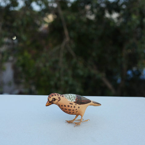 Buy Exclusive Paper Mache Home Decor Online in India