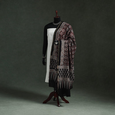 Chanderi silk kutch hand block print natural dyed handloom